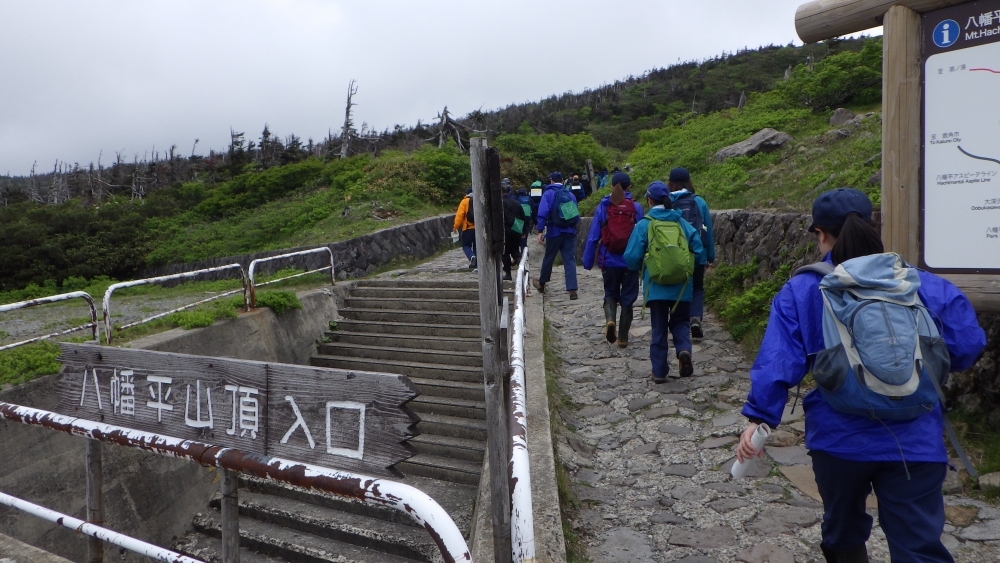 山
