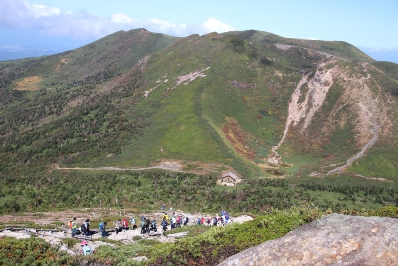 山