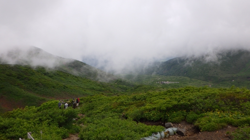 山