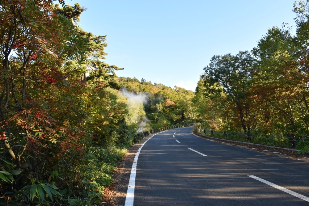 山