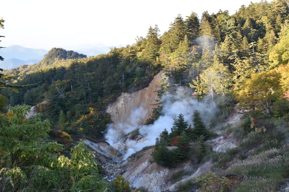 山