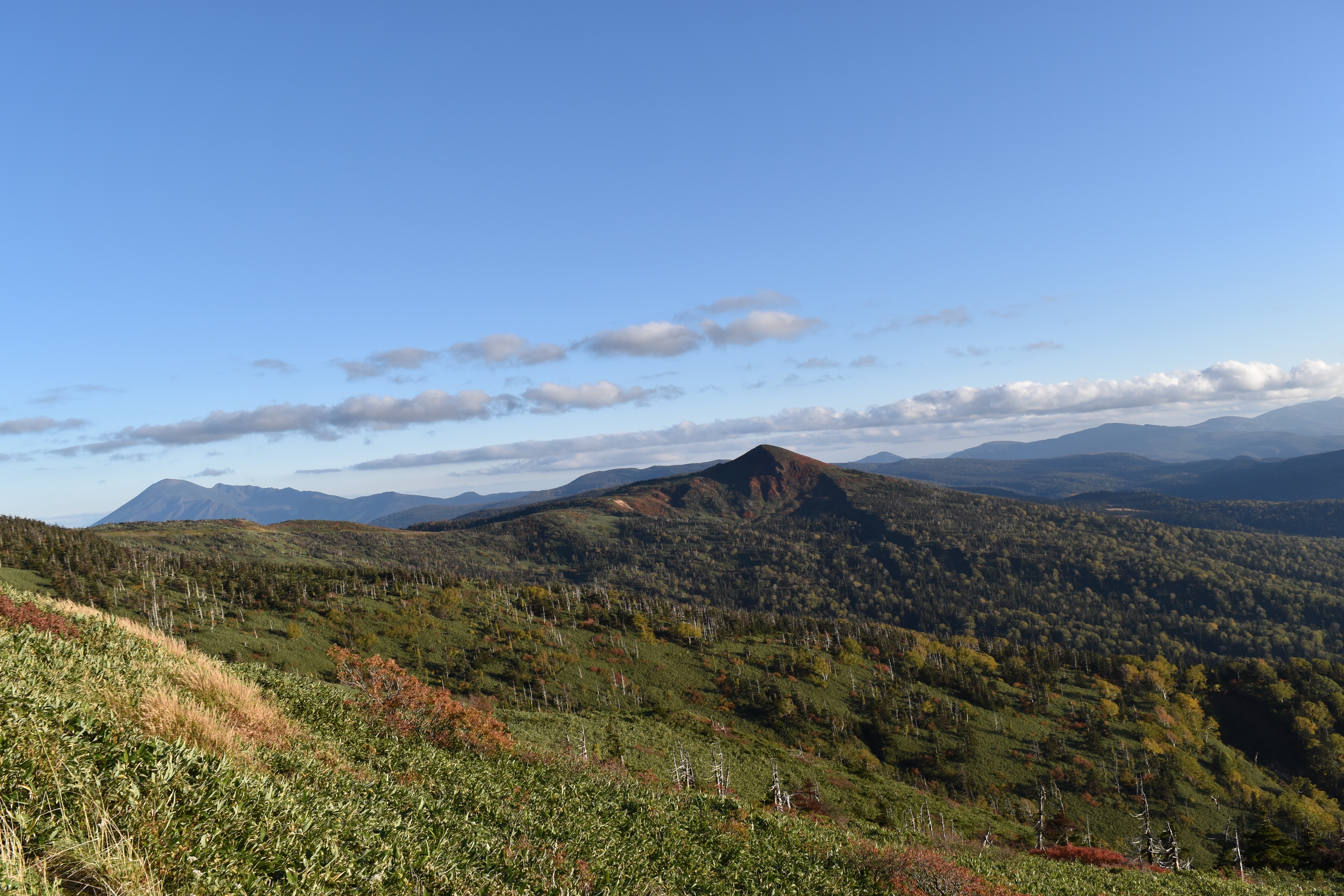 山