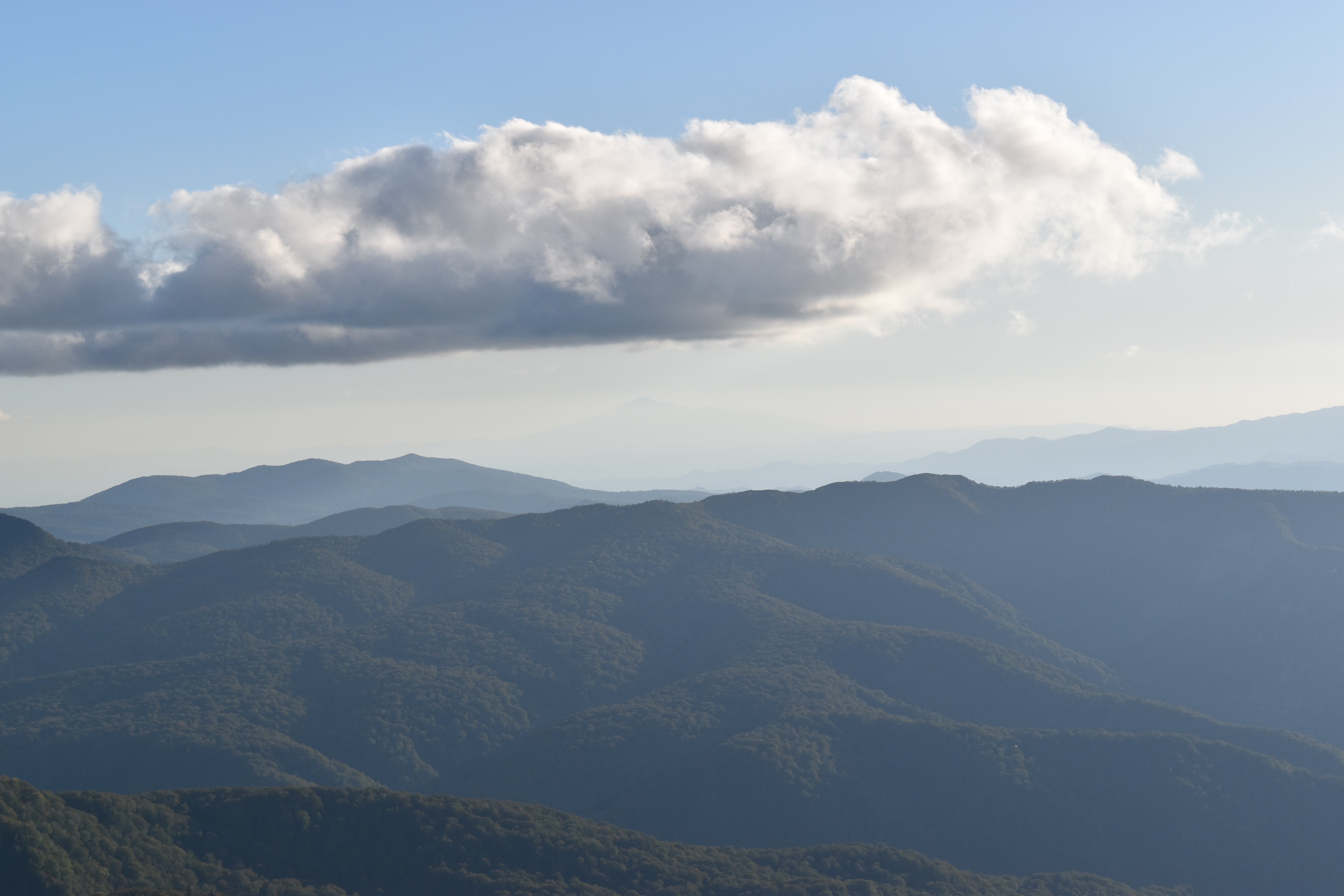山