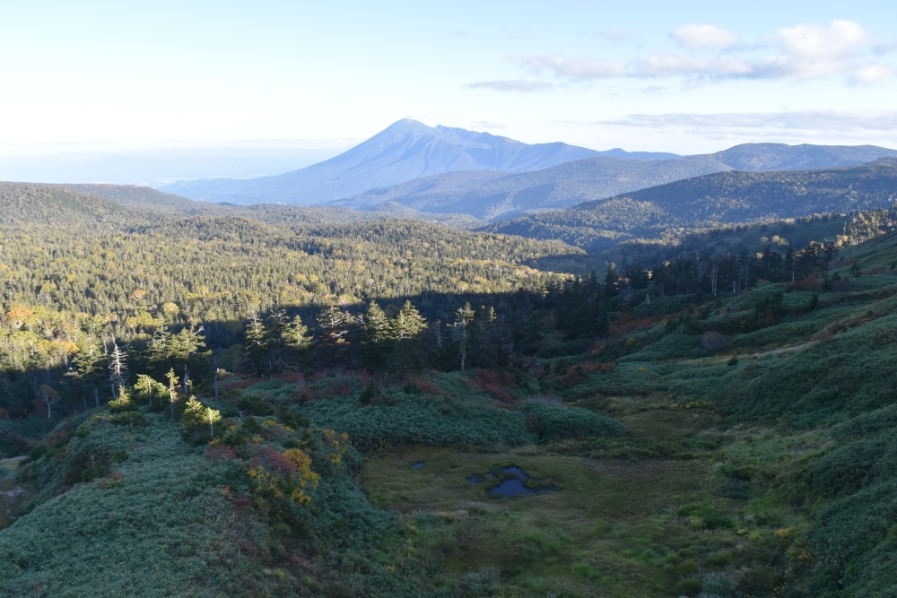 山