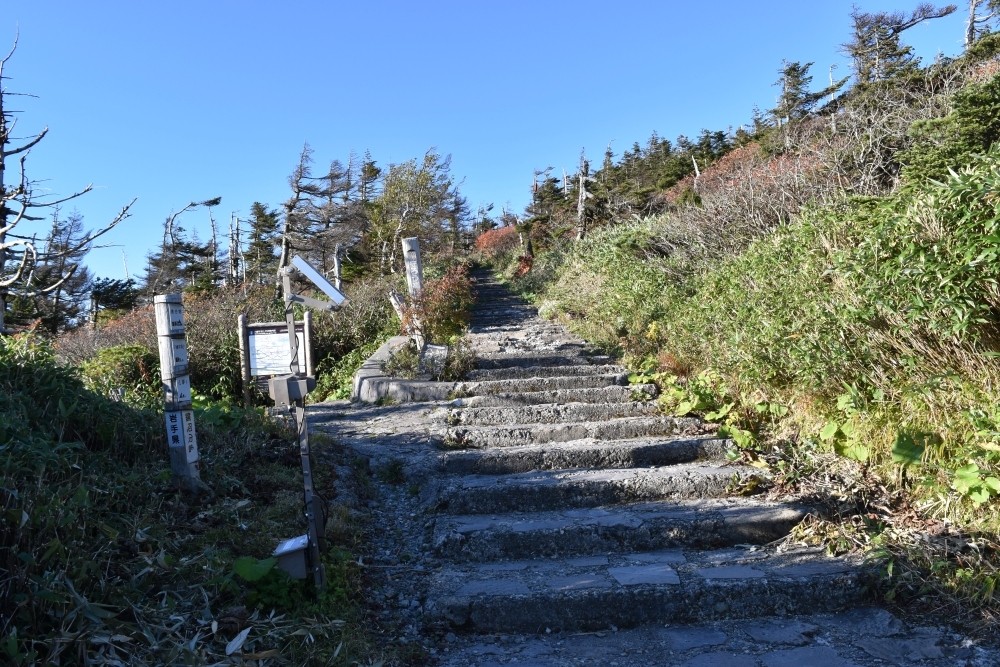 山