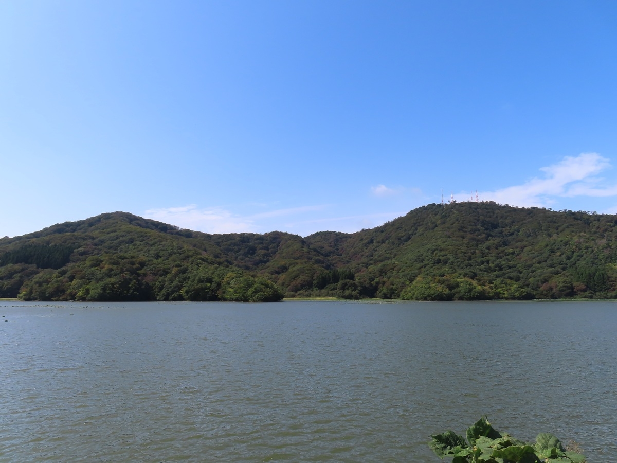 下池
