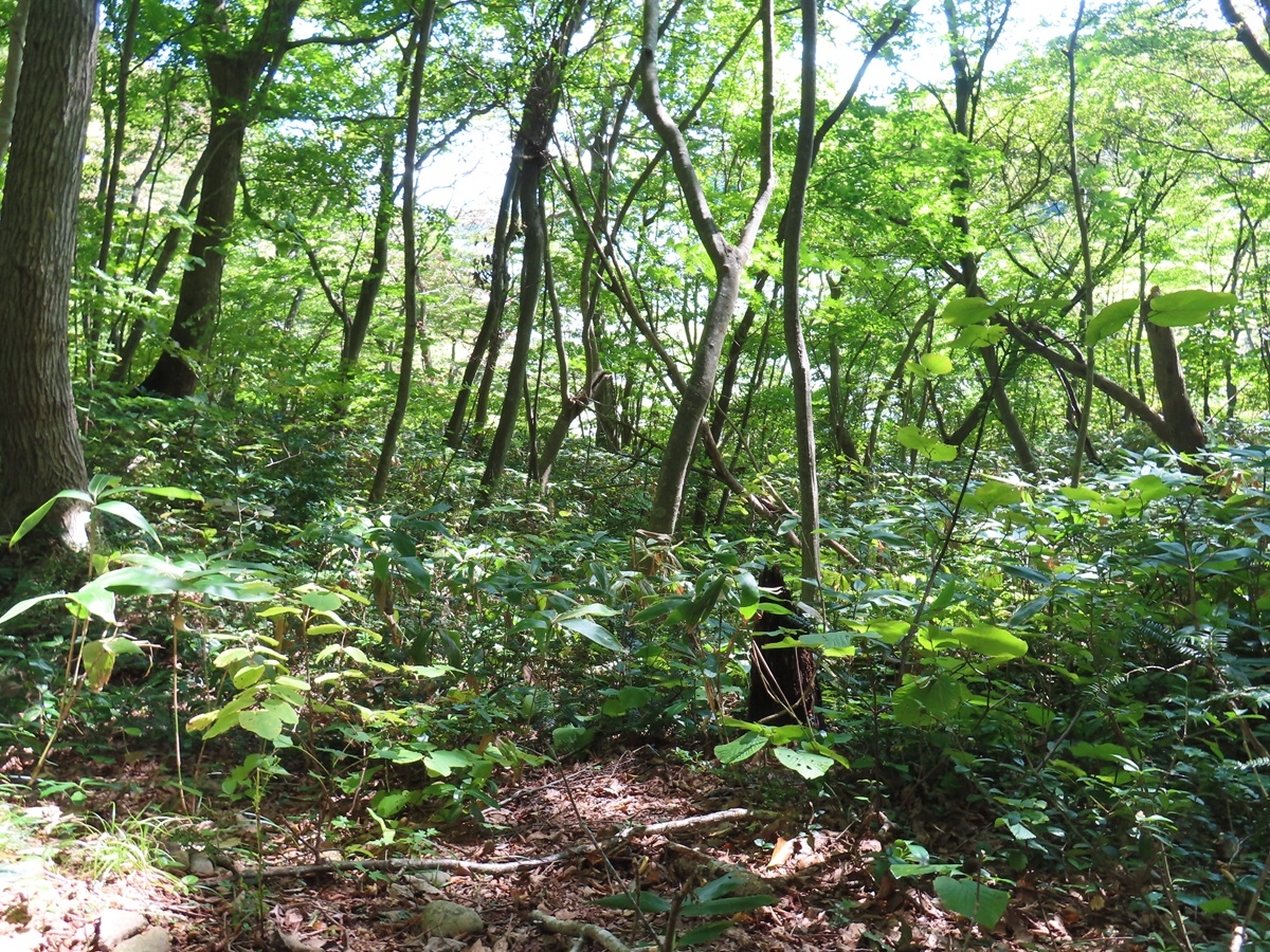 下池