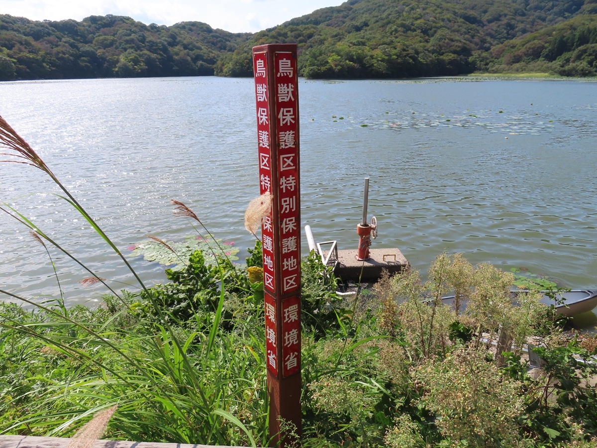 下池