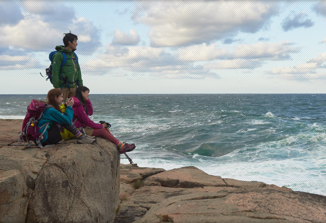 東北と歩いていこう!