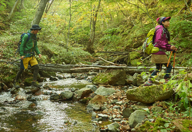 東北と歩いていこう!