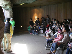 ホッキョクグマ前で生態説明中