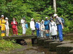 ＜随所で観察しながら約1時間で三階滝へ＞2