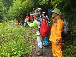 <随所で観察しながら約1時間で三階滝へ>3